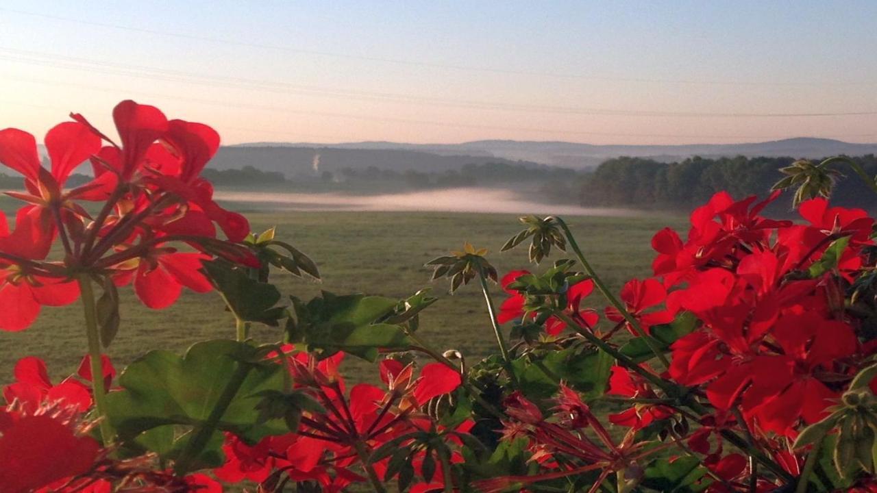 Waldhotel Dierdorf Buitenkant foto