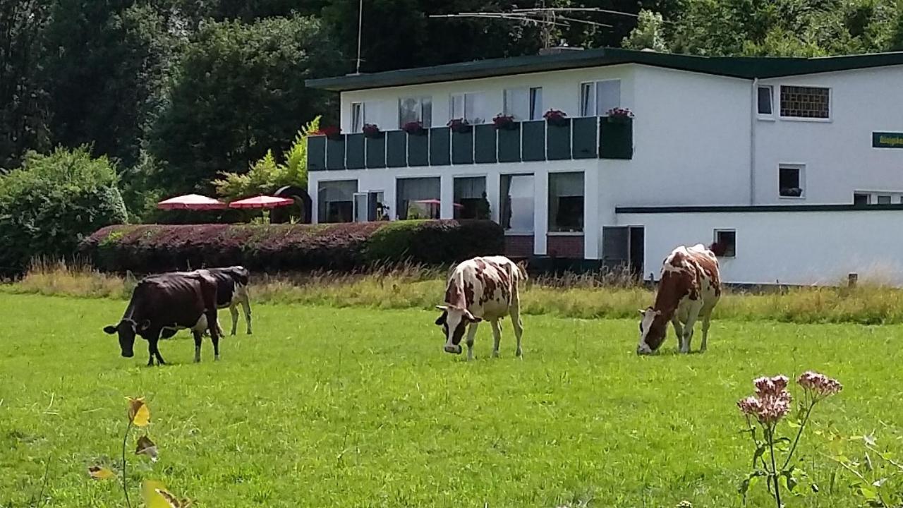 Waldhotel Dierdorf Buitenkant foto